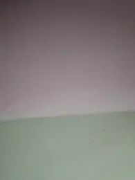ảnh stream của THATHAIRYTALLDUDE